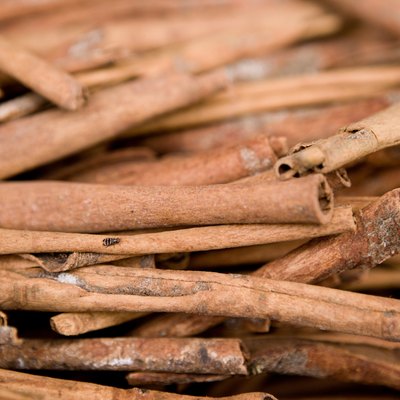 Close-up of cinnamon sticks