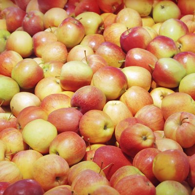 Apples
