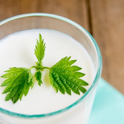 Fresh homemade yougurt