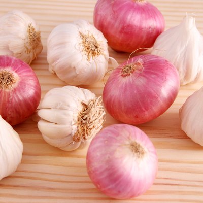Studio shot onions and garlic buds