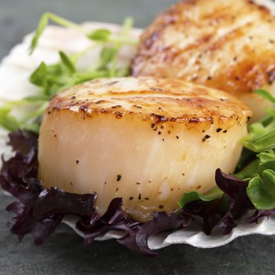 Seared scallops on lettuce