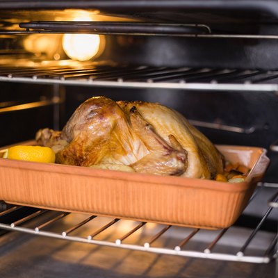 Close up of roast turkey in oven for christmas dinner
