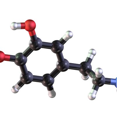 Dopamine Model