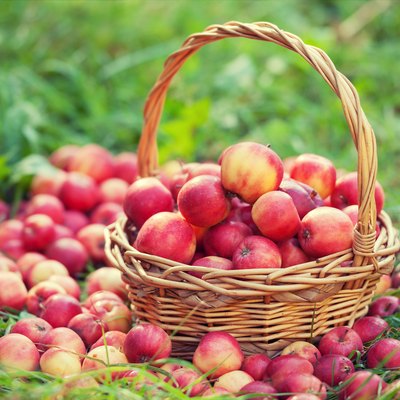 Basket with red apples on the grass