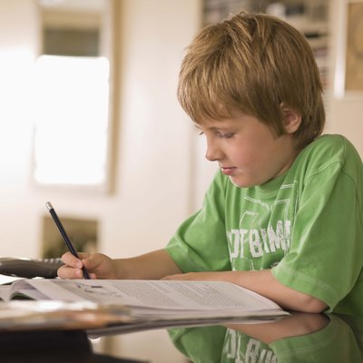 Boy with homework