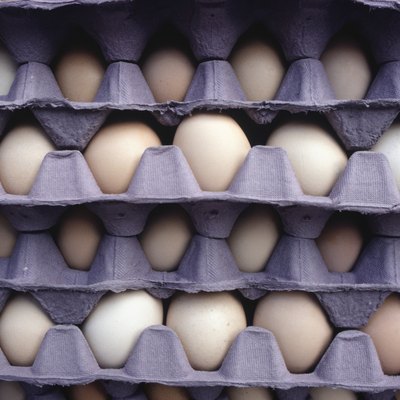 Egg palettes, (Close-up)