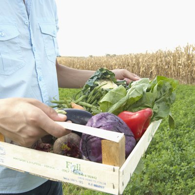 Young man carrying box of vegetables, outdoors, mid section