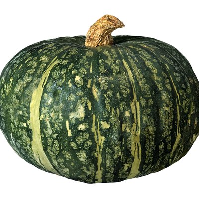 Squash