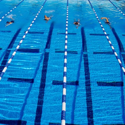 Swimmers Racing in Marked Lanes