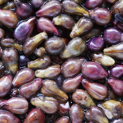 Grapes seeds