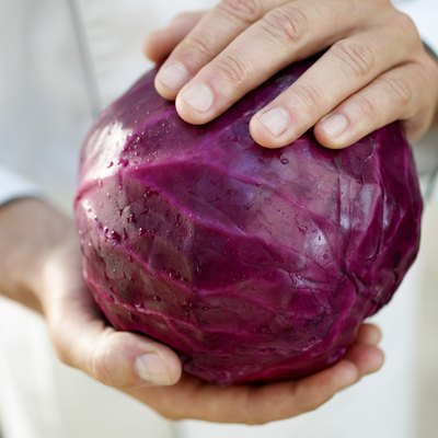 Man Holding Red Cabbage