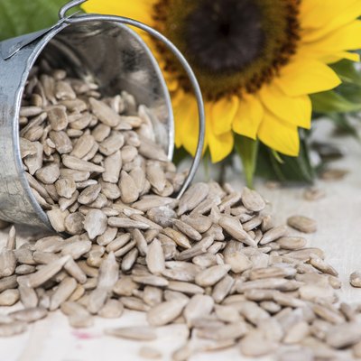 Some Sunflower Seeds
