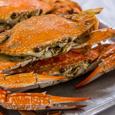 Hot steamed flower crab or blue crab.