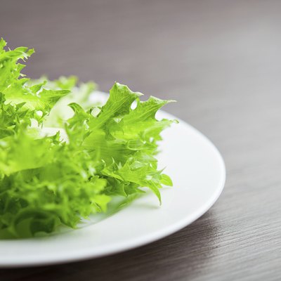 green lettuce on a plate close-up macro. diet concept