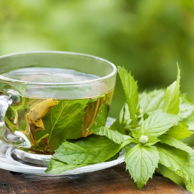 morning green mint tea at garden
