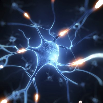 active nerve cell illustration