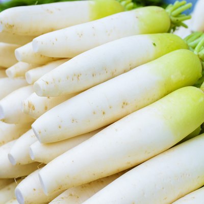 Radish