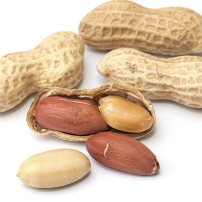 Peanut isolated on the white background