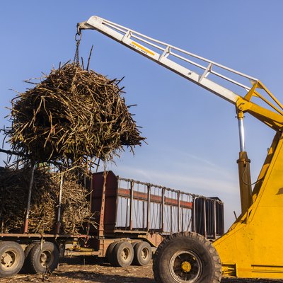 Tractor Truck Crop Loading