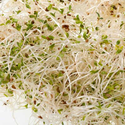 Fresh sprouts