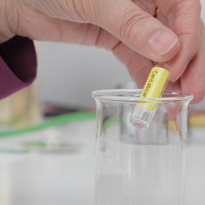 Ampoule Candida albicans