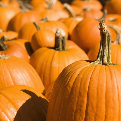Group of pumpkins at produce market.