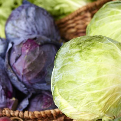 Purple And Ordinary Cabbages On Sale At the Market