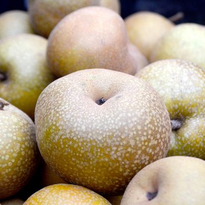 Chinese pear