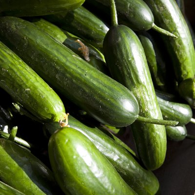 Close up of cucumber