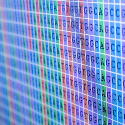 DNA bases alignment