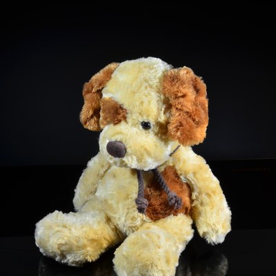 Teddy bear