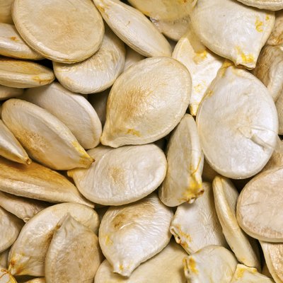 Pumpkin seeds