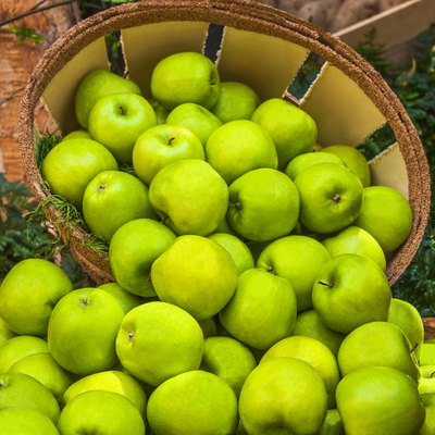 Green Apples in a Bushel