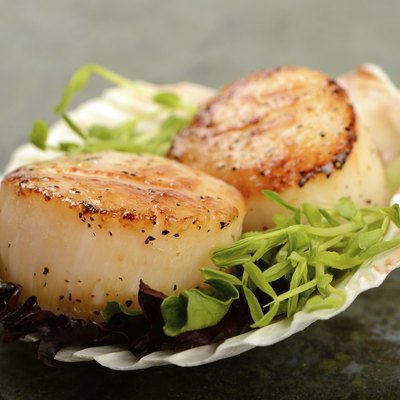Scallop