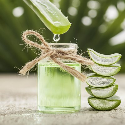 Aloe Vera Leaves
