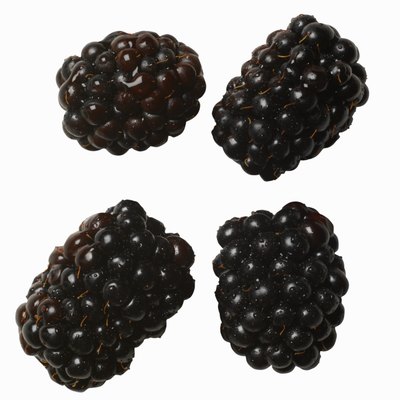 Close-up of blackcurrants