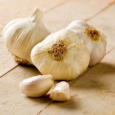 Garlic
