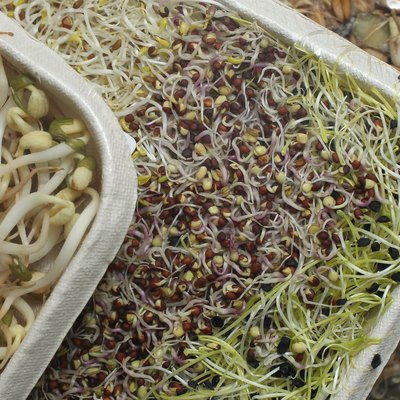 Germany Awaits Sprouts Lab Results In EHEC Outbreak