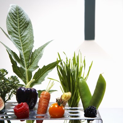 Test tube holder with different vegetables and fruits, studio shot