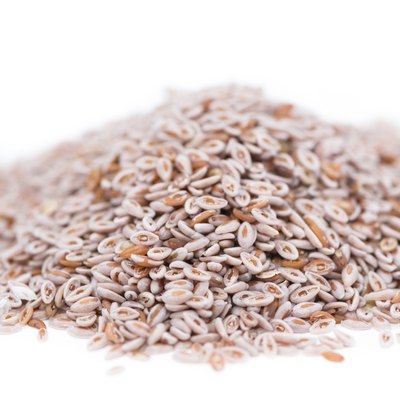 Isolated Psyllium