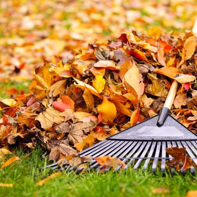 Fall leaves with rake