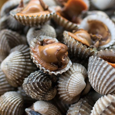 Cockles