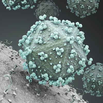 HIV virus