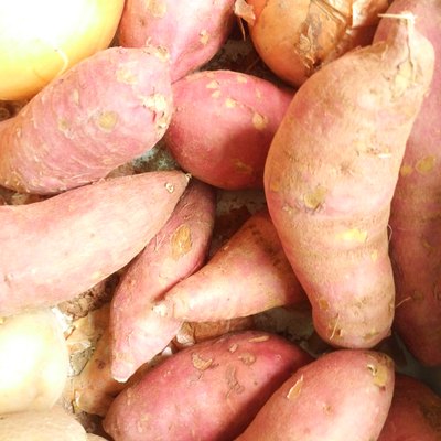 Sweet potato Background