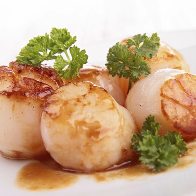 scallop