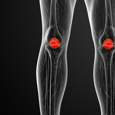 3d render medical illustration of the patella bone