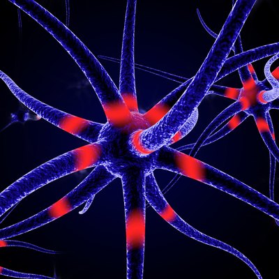 Brain Cells