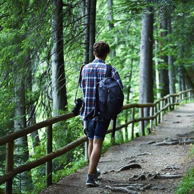 Hiker in forest