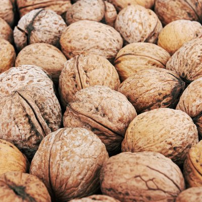 walnut background