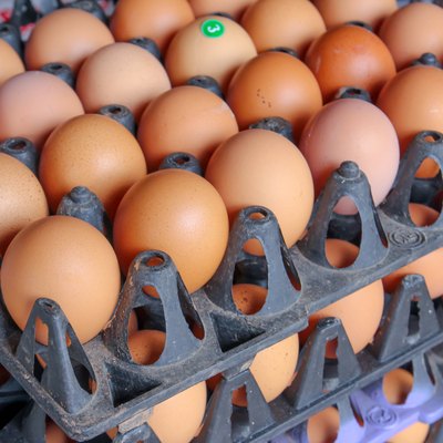 Brown Eggs